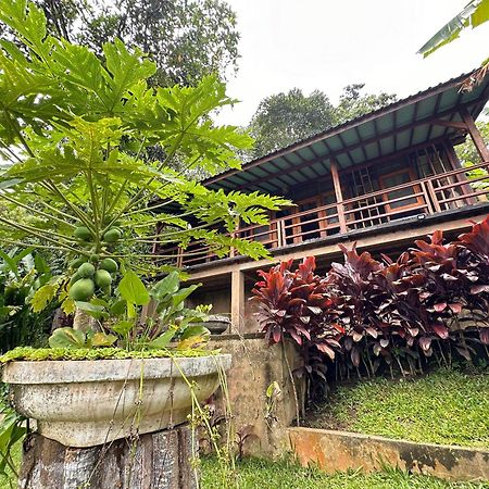 Penebel Sang Tirta Resort المظهر الخارجي الصورة