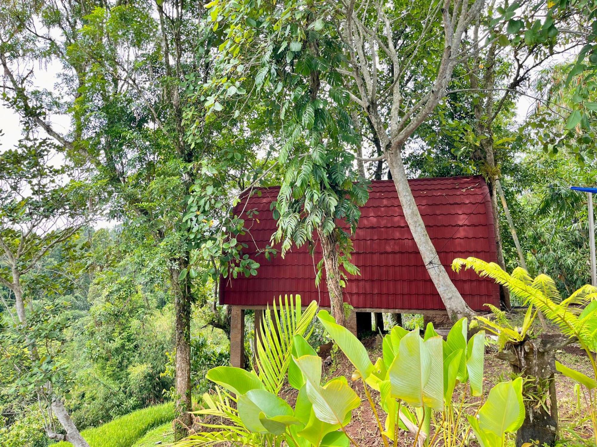 Penebel Sang Tirta Resort المظهر الخارجي الصورة