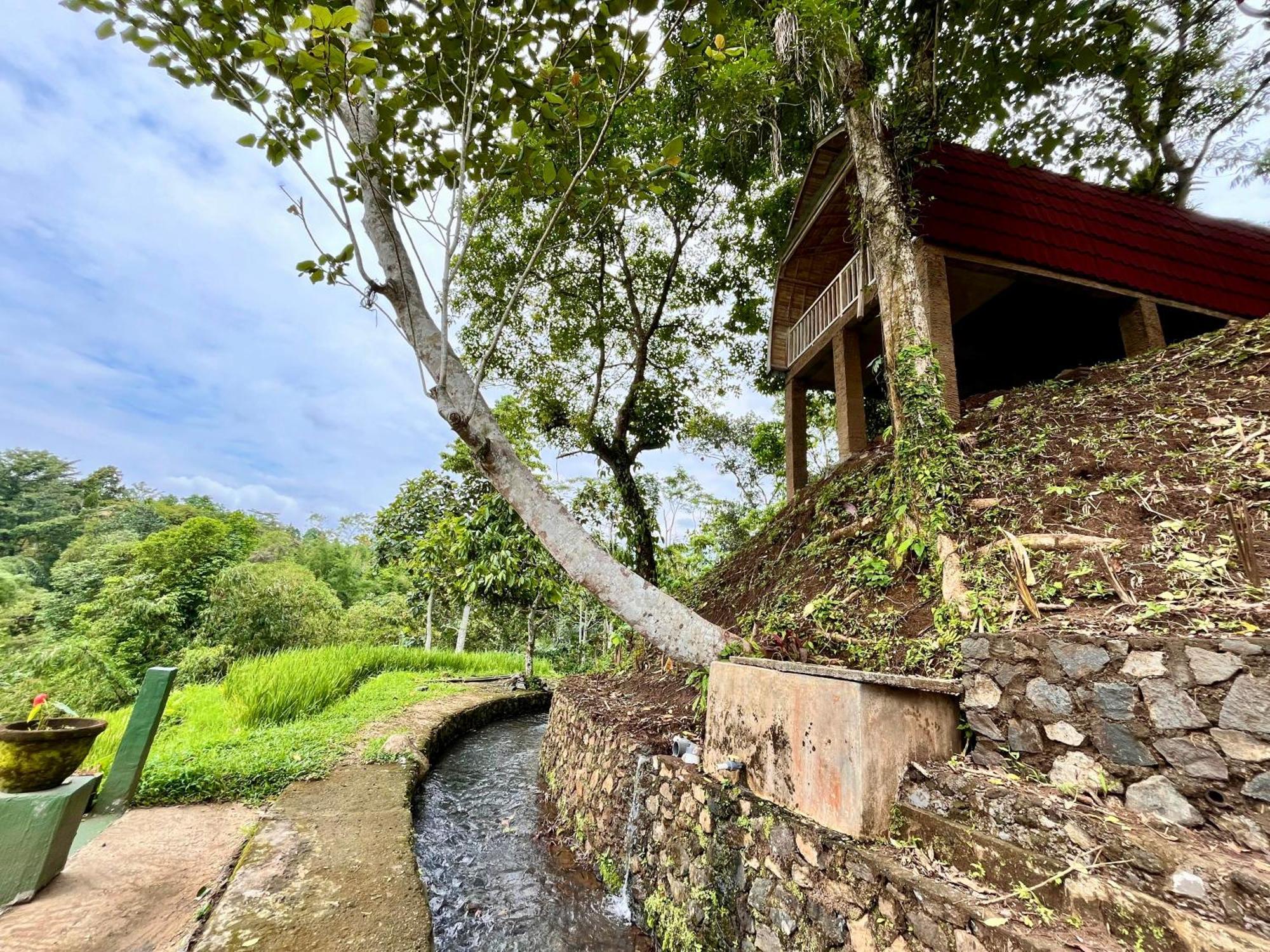 Penebel Sang Tirta Resort المظهر الخارجي الصورة
