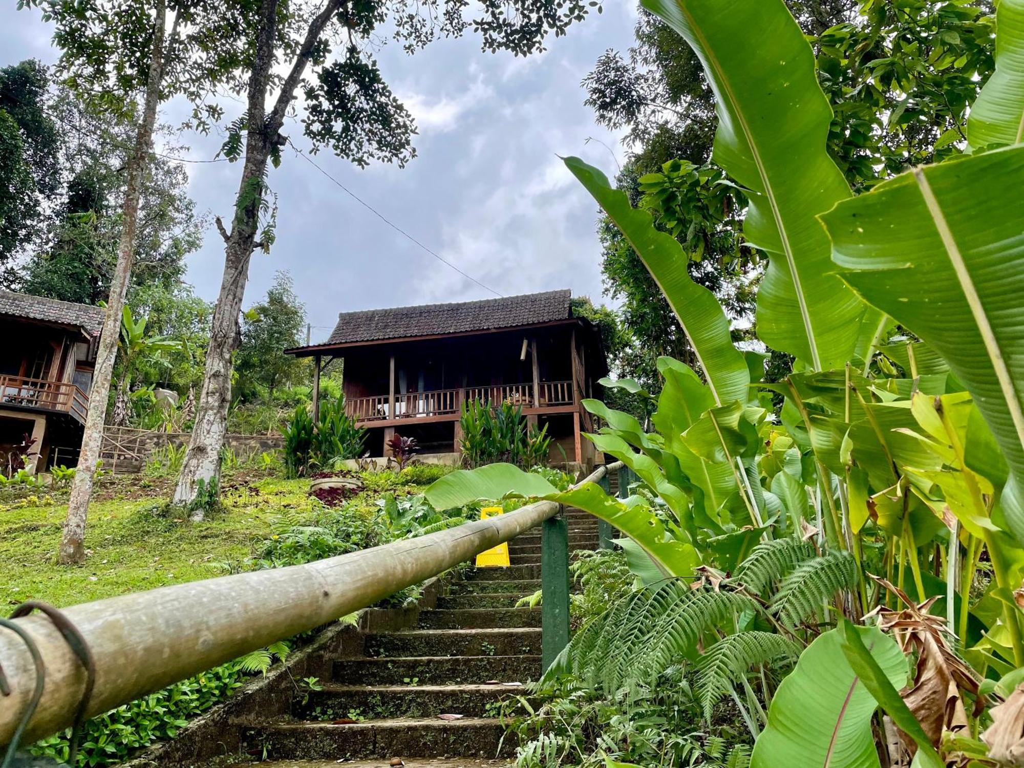 Penebel Sang Tirta Resort المظهر الخارجي الصورة