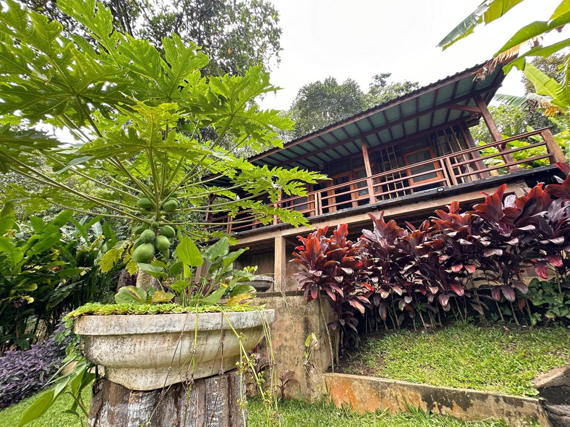 Penebel Sang Tirta Resort المظهر الخارجي الصورة