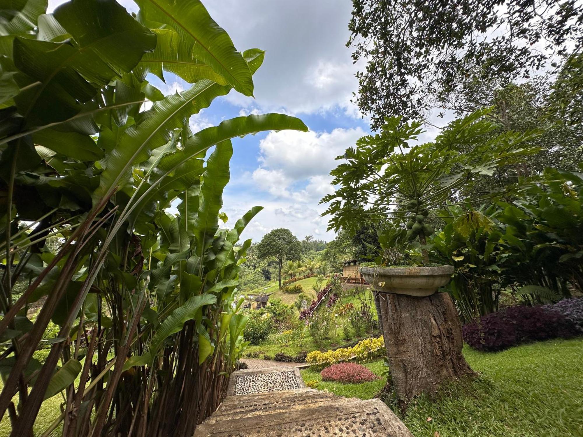Penebel Sang Tirta Resort المظهر الخارجي الصورة